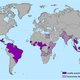 Illustration for article titled New Evidence Suggests Link Between Mosquito-Borne Virus and Birth Defects